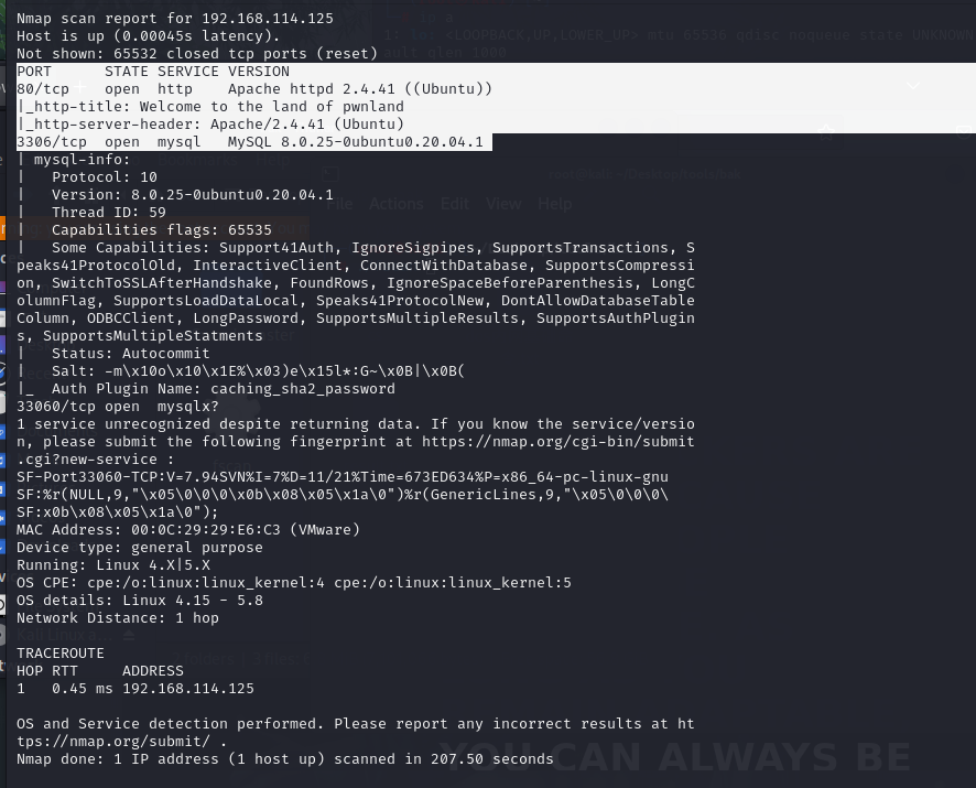 image-20241121144658466