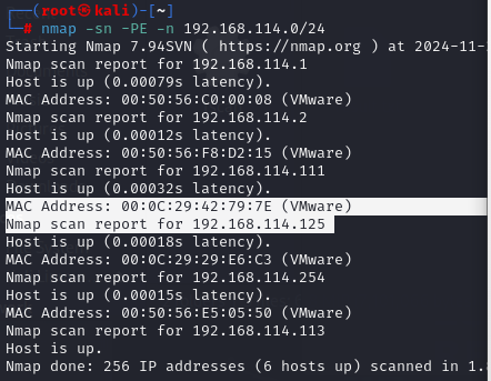 image-20241121144942438