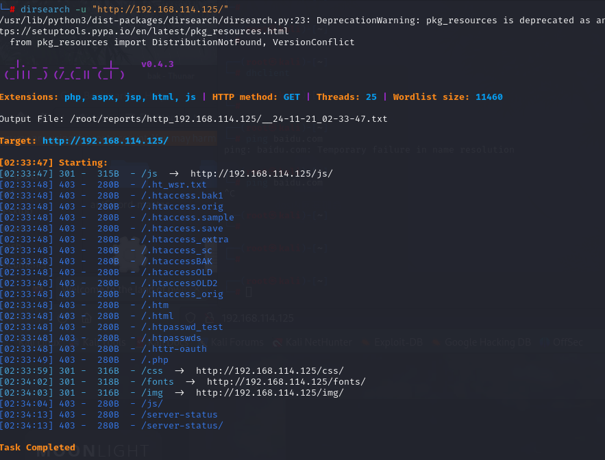 image-20241121155223551
