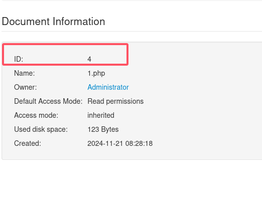 image-20241121163003809