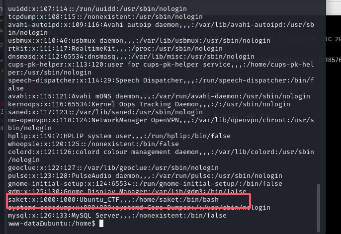 image-20241121164948156