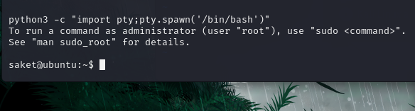 image-20241121165430349