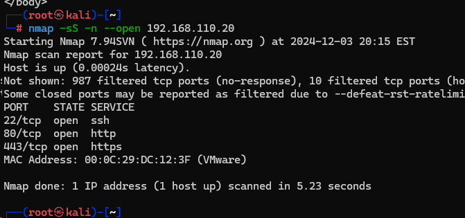 image-20241204091537170