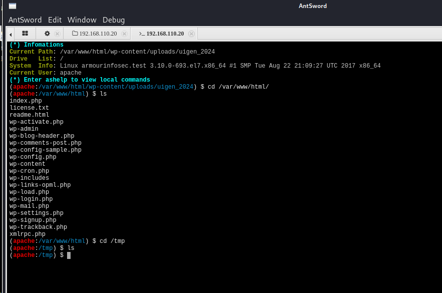 image-20241204112051766