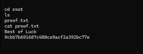 image-20241204112759544