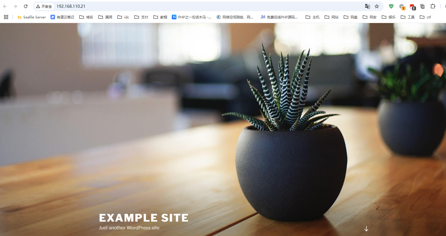 image-20241204143630048