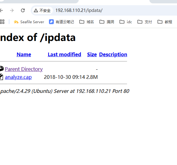 image-20241204144504039