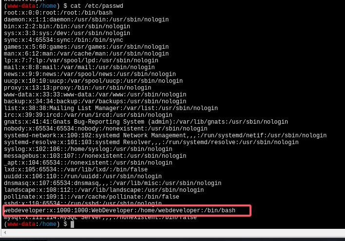 image-20241204151325284