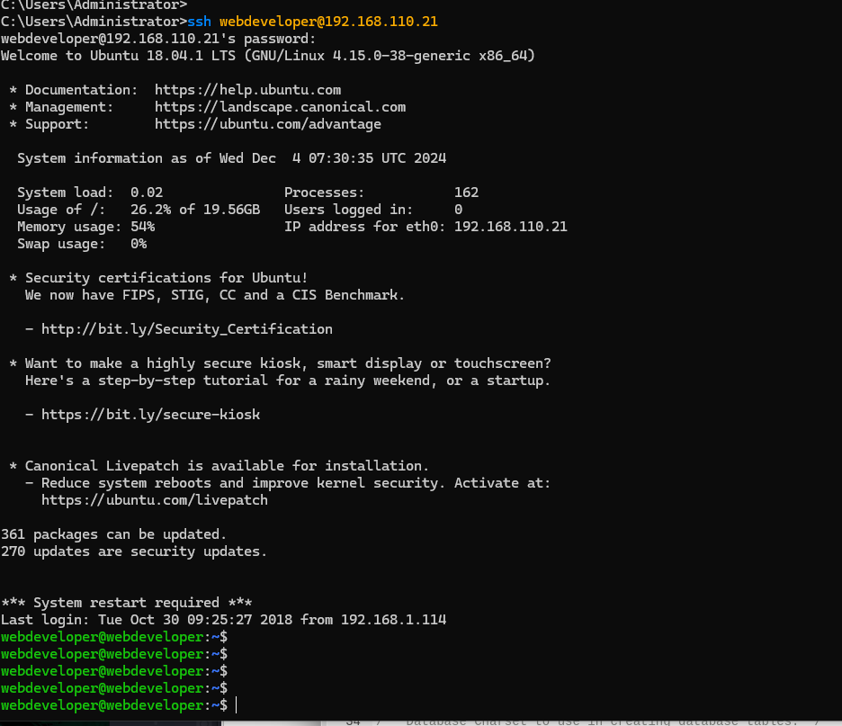 image-20241204153047576