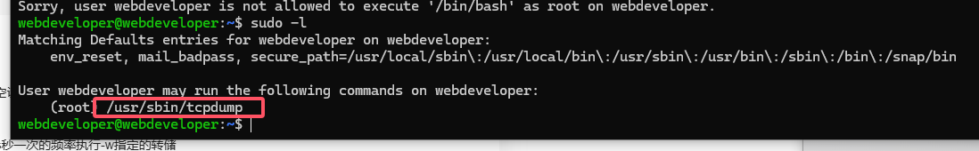 image-20241204154321329