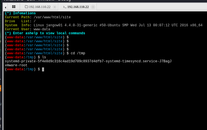 image-20241205113105186