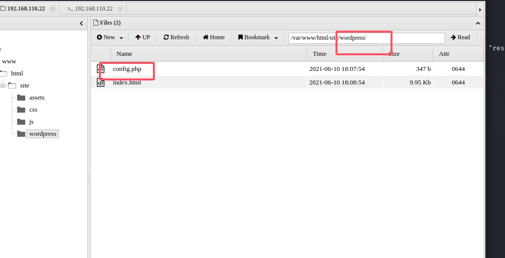 image-20241205113253518