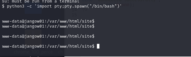 image-20241205144227558