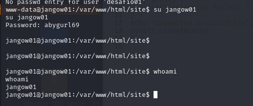 image-20241205144503800