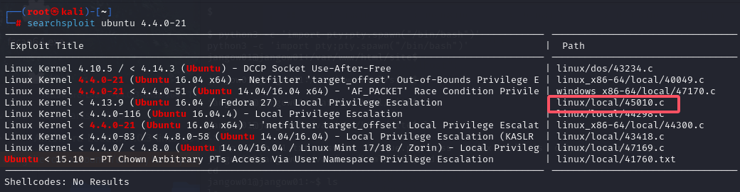 image-20241205144933063