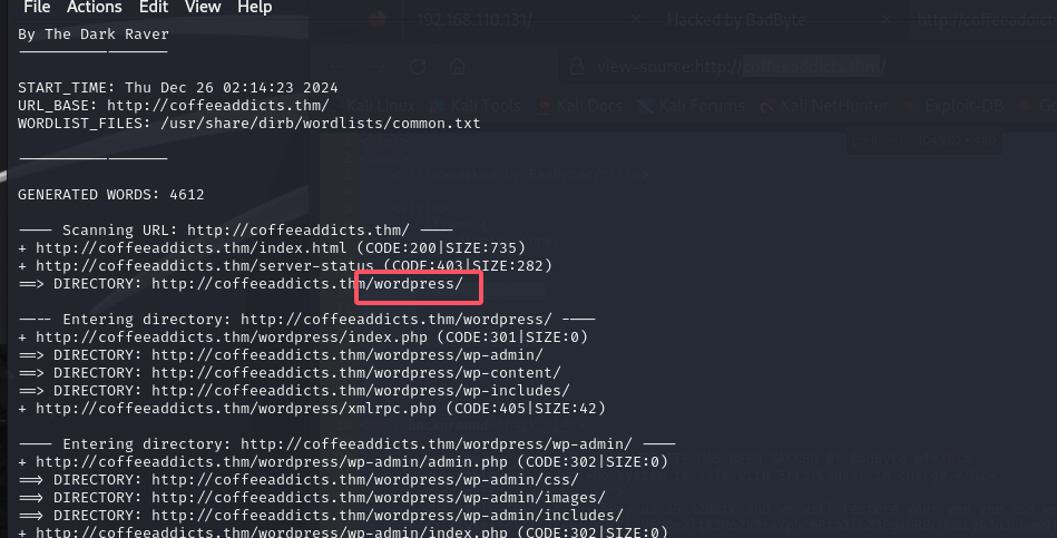 image-20241226151539995