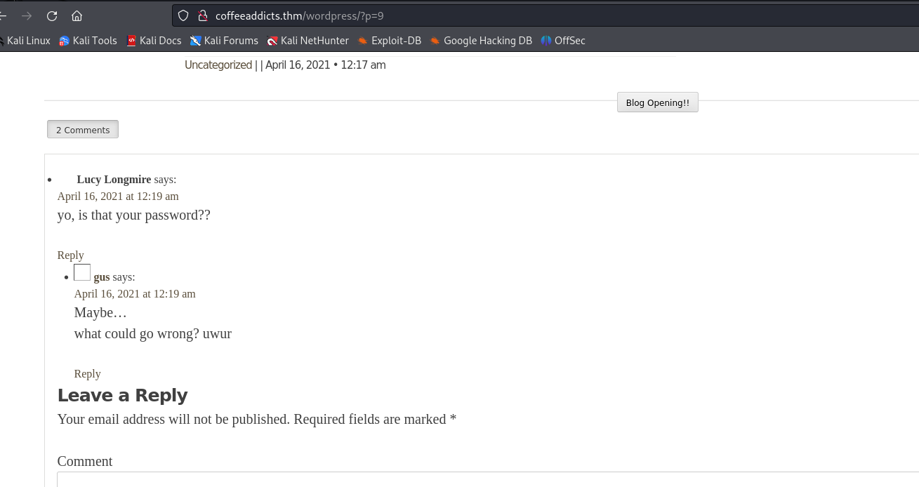 image-20241226155121491