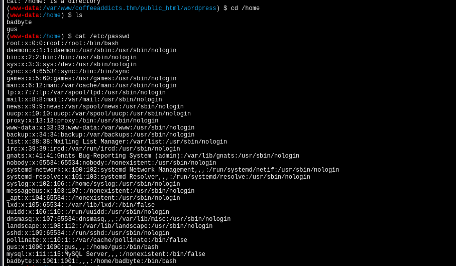 image-20241226162050372