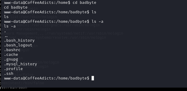 image-20241226162342317
