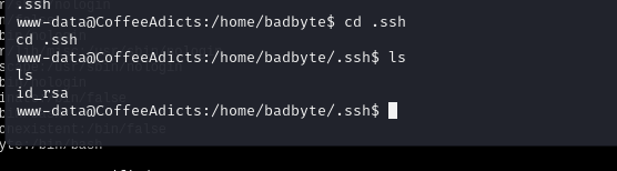 image-20241226162359888