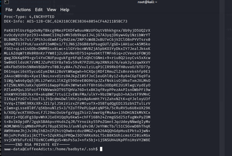 image-20241226162438254