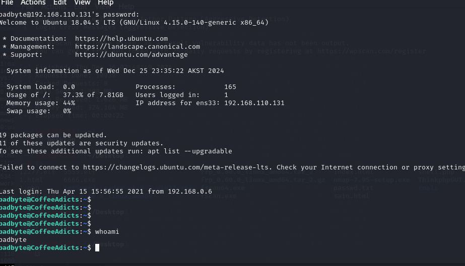 image-20241226163535236