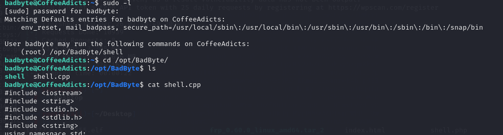 image-20241226164113919