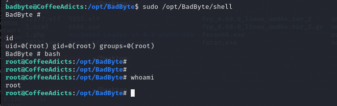 image-20241226164612416